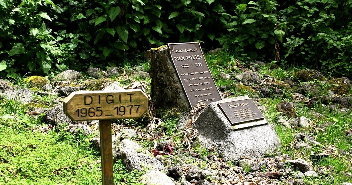 Dian Fossey's Tomb: